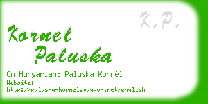 kornel paluska business card